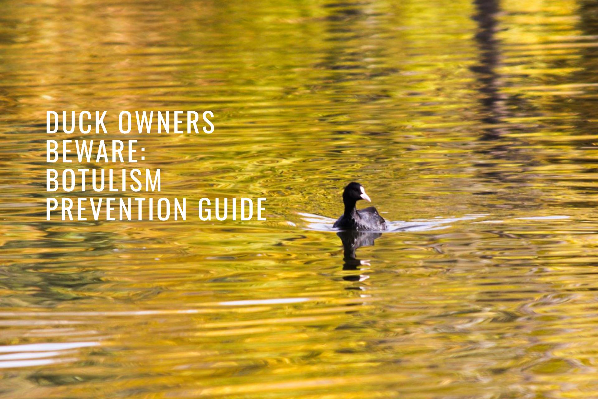 Understanding and Preventing Botulism in Ducks: A Guide for Duck Owners